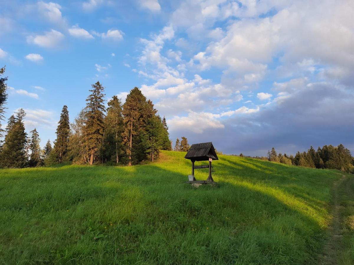Domek na szlaku RIKARDO Ponice Kültér fotó