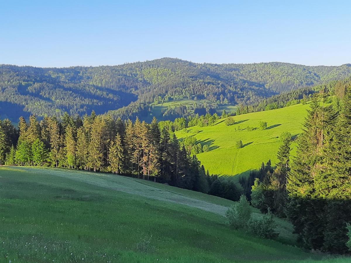 Domek na szlaku RIKARDO Ponice Kültér fotó
